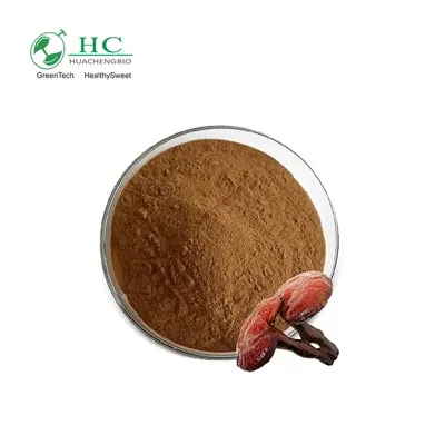 Reishi Mushroom Extract